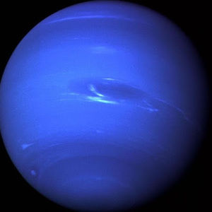 Meet your Posher, Madelynn